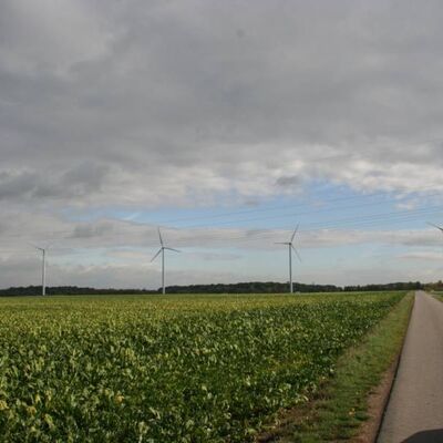 Bild vergrößern: Windräder in der Feldmark Hasede